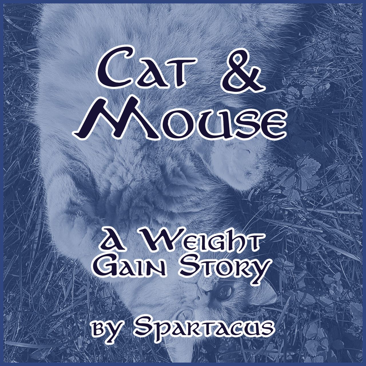 Cat and Mouse