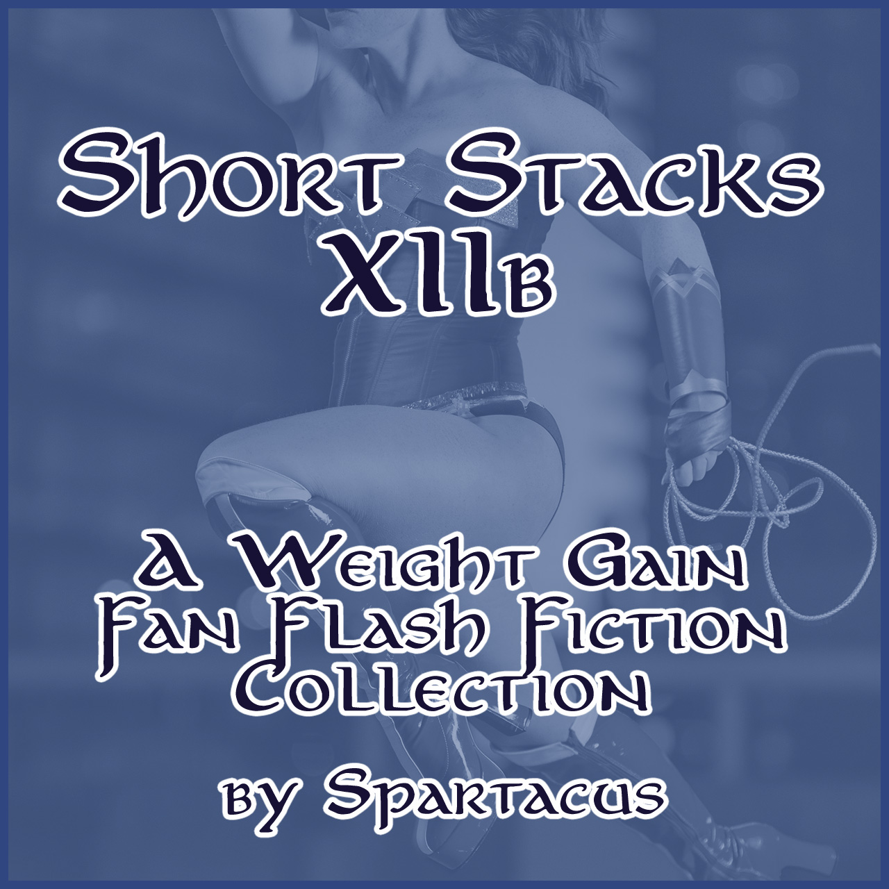 Short Stacks: Volume XIIb